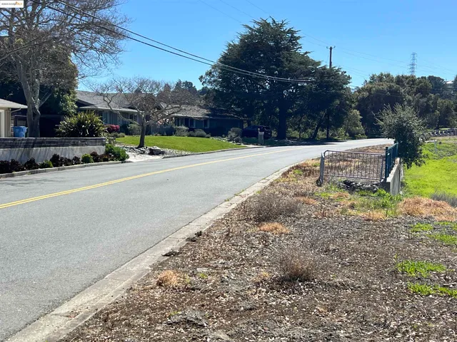 a view of a park with large trees