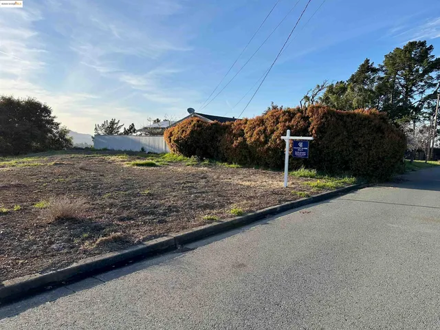 a view of a yard with an outdoor space