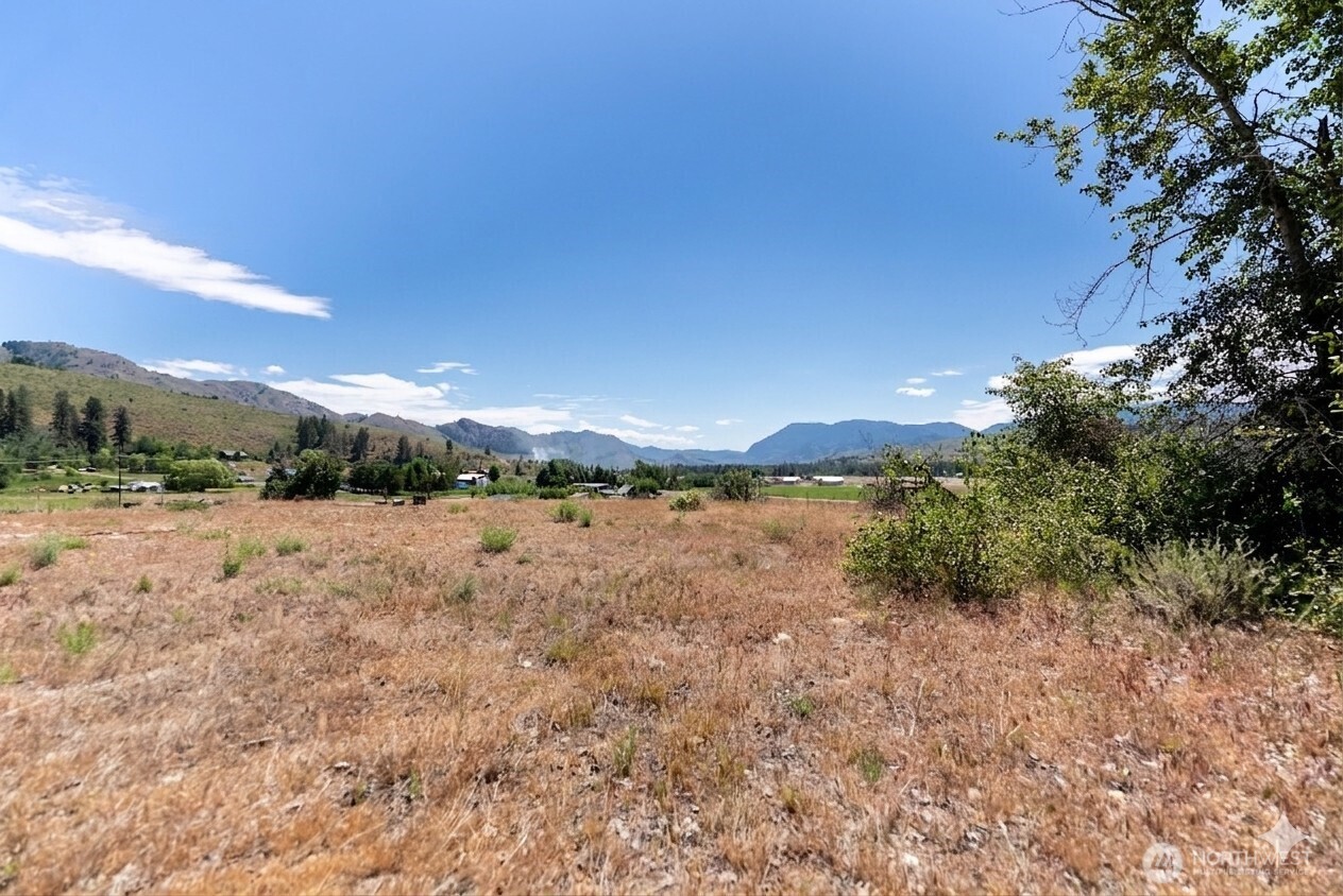 567 Twisp-Winthrop Eastside Road Winthrop, WA 98862 - Photo 3 of 33