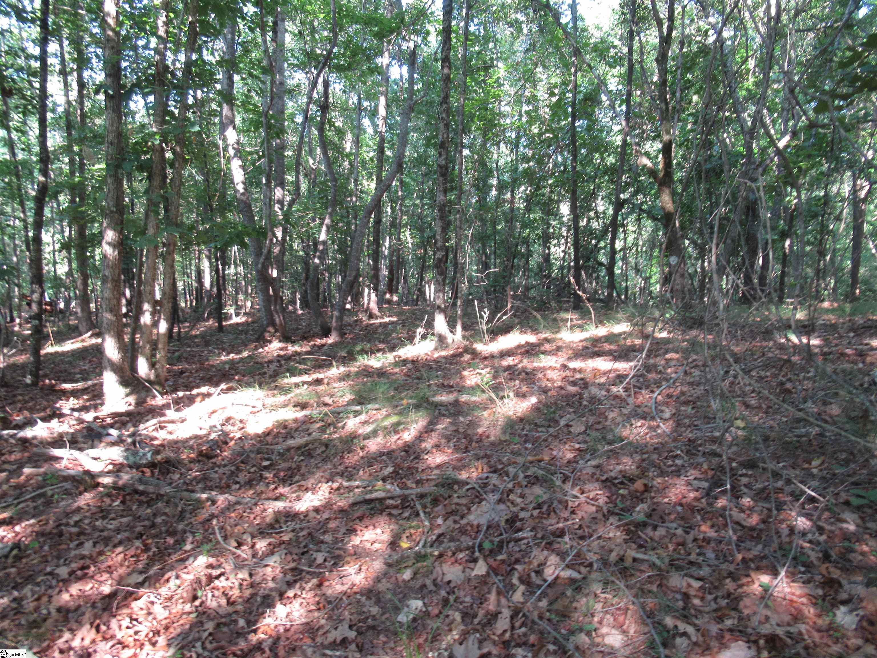 0 Murphy Road, Unit 3 2 ACRES S SIDE MURPHY RD Sunset, SC 29685 - Photo 15 of 20