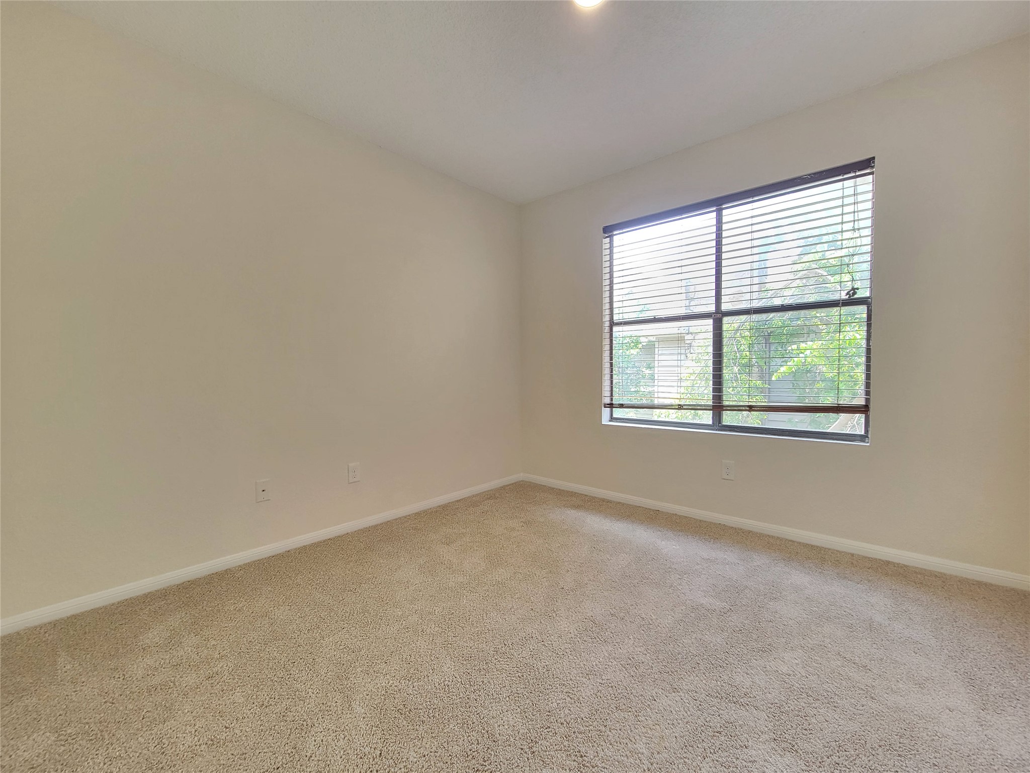 8706 Schick Road, Unit A Austin, TX 78729 - Photo 17 of 33 A well-lit bedroom space offers ample natural illumination and soft carpeting.