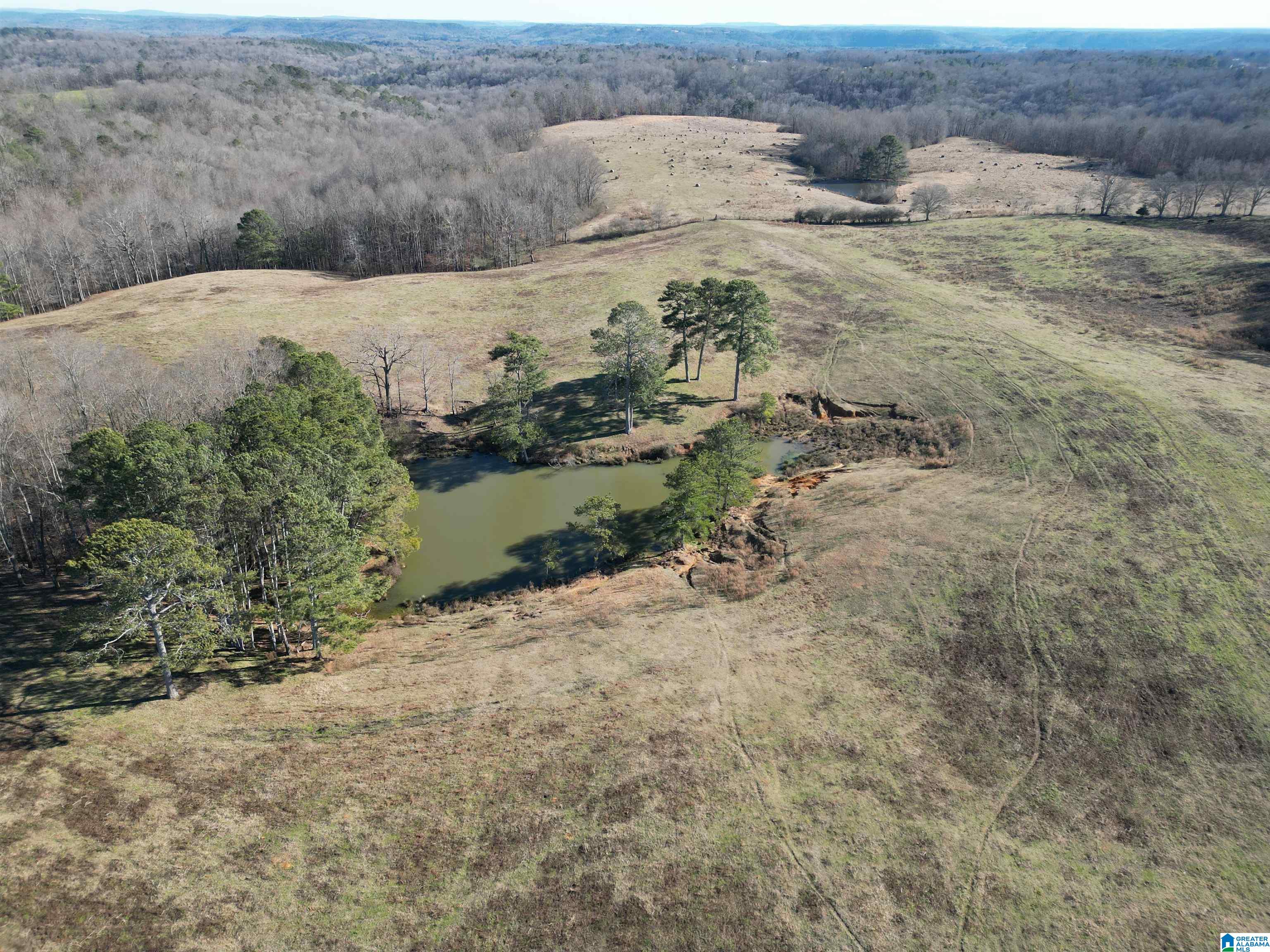 682 County Road 832 Logan, AL 35098 - Photo 12 of 48