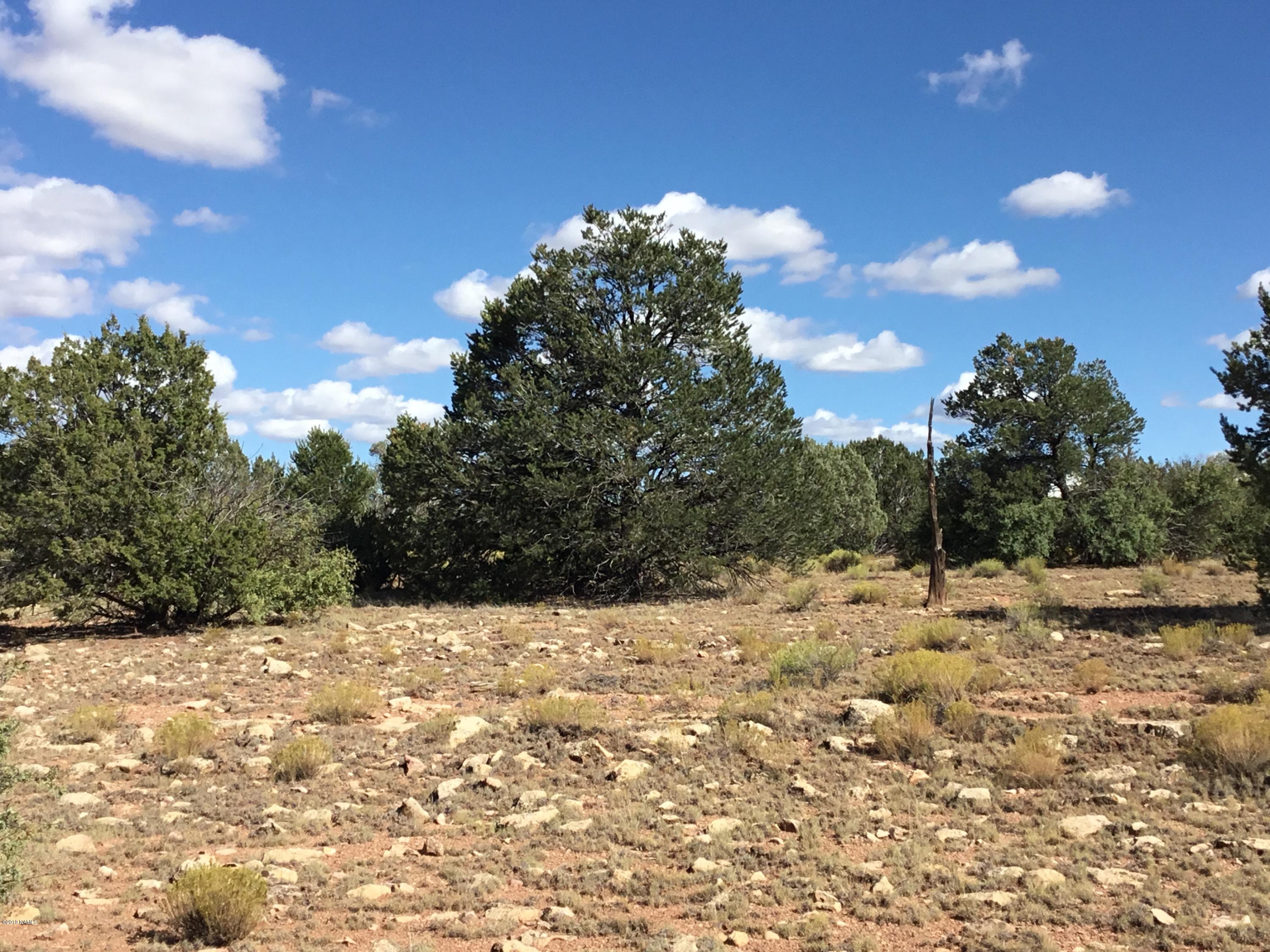 10654 West Red Bluff Road Williams, AZ 86046 - Photo 11 of 28 4FD3A990-FE85-4E66-B0D2-54B571088449