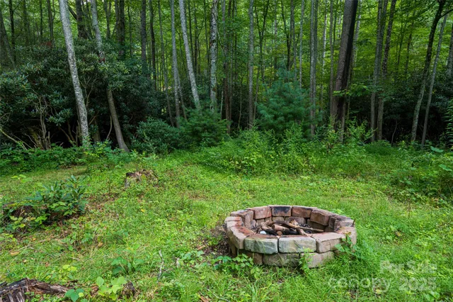 a view of a chair and a fire pit in the middle of the forest