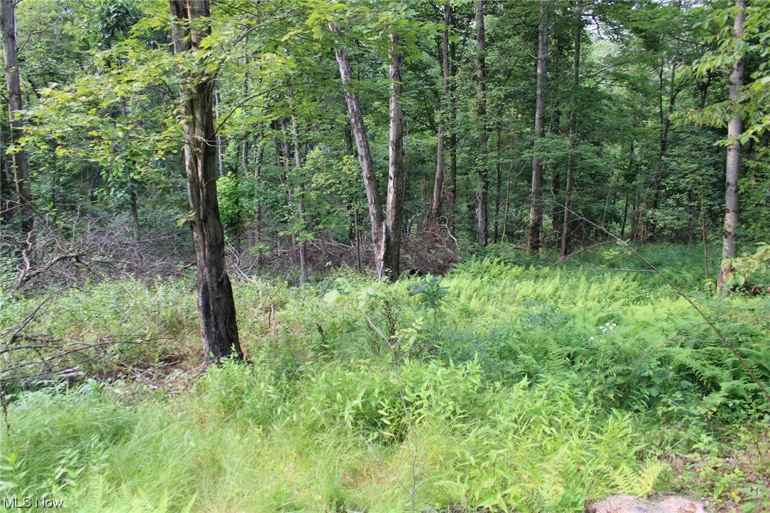 Fargo Road Dellroy, OH 44620 - Photo 15 of 21