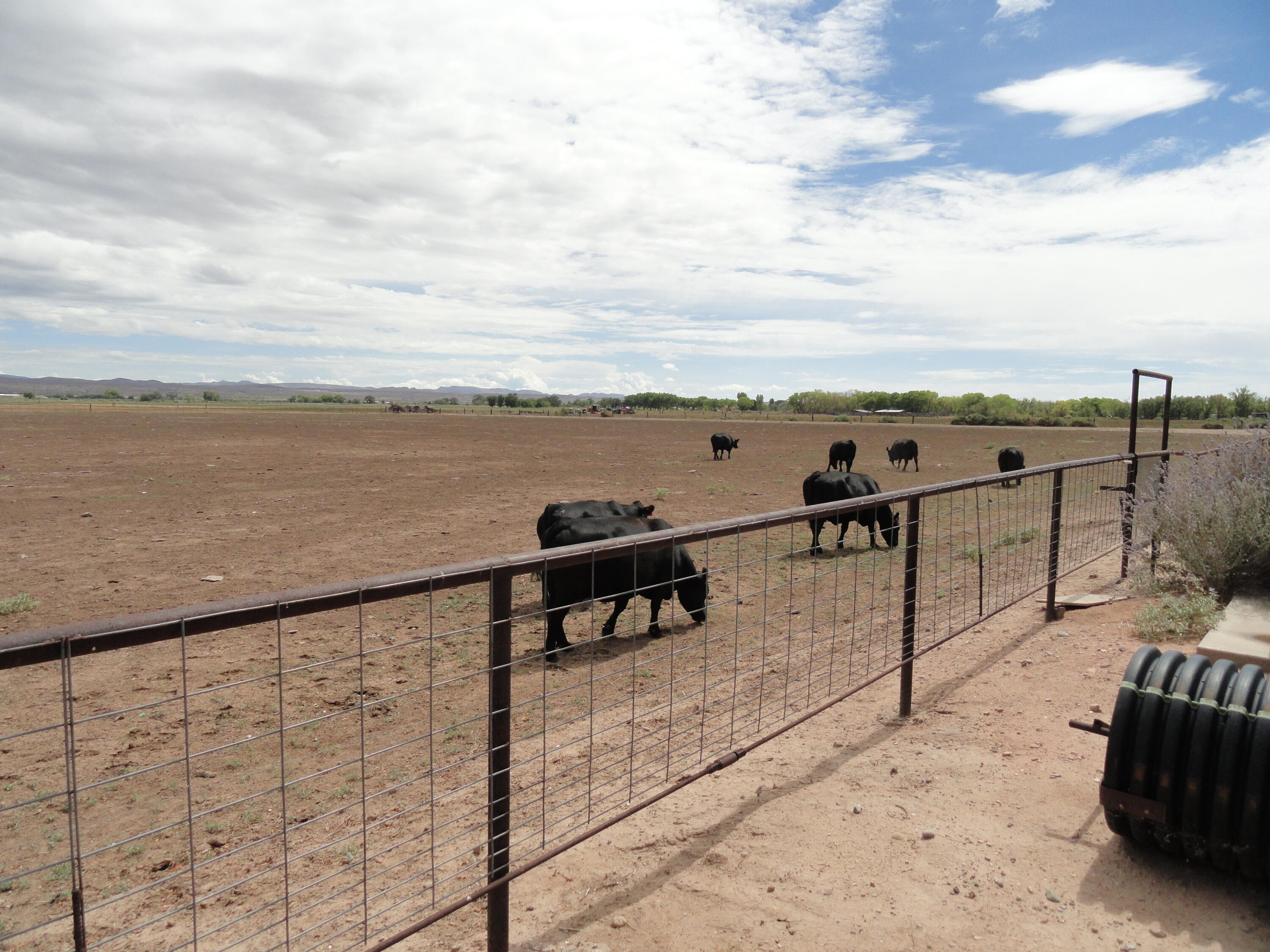 Carrasco Farm Lane Road Polvadera, NM 87828 - Photo 39 of 48 Gallery Image 39
