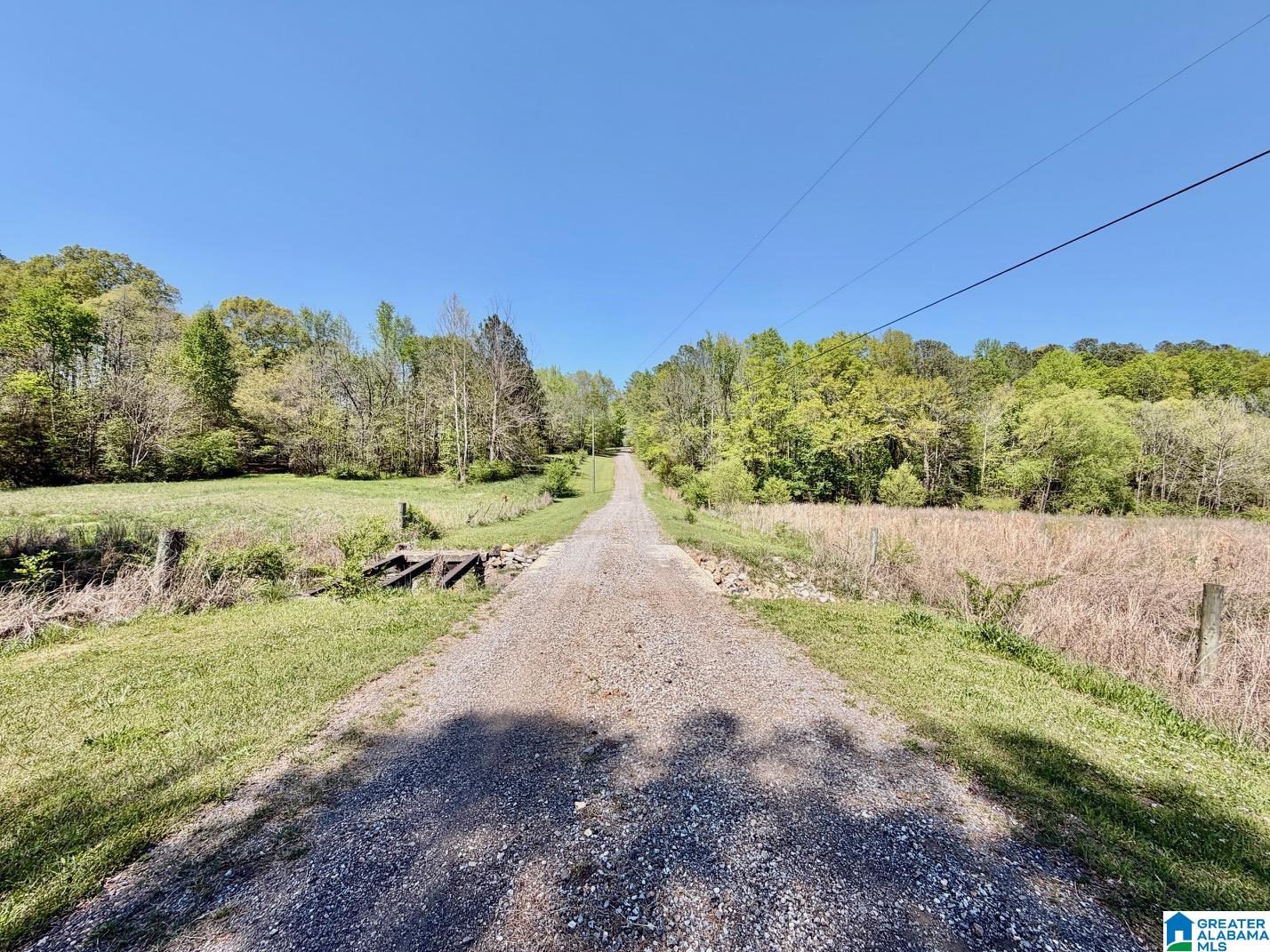 1097 Gnatville Road Piedmont, AL 36272 - Photo 79 of 79
