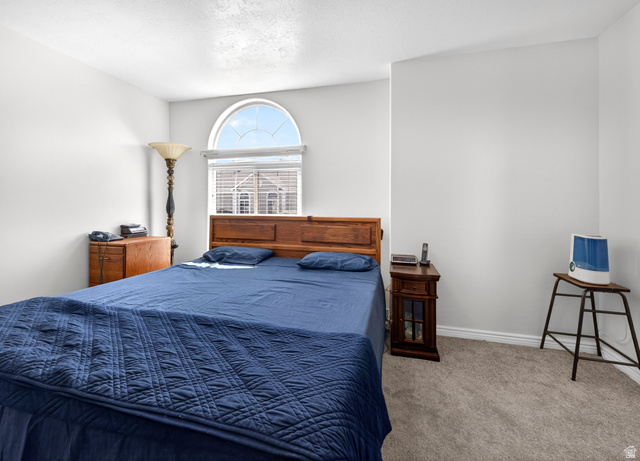802 Sugar Maple Court Payson, UT 84651 - Photo 14 of 30 Bedroom with carpet floors and baseboards