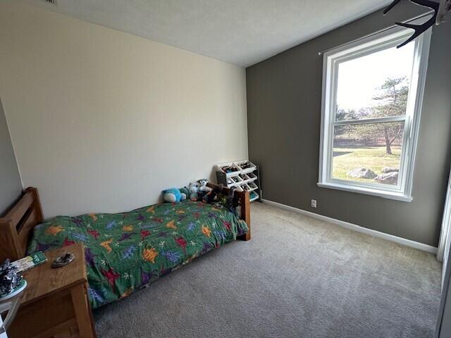 24724 South Fairview Road Pickford, MI 49774 - Photo 23 of 39 Gallery Image 23
