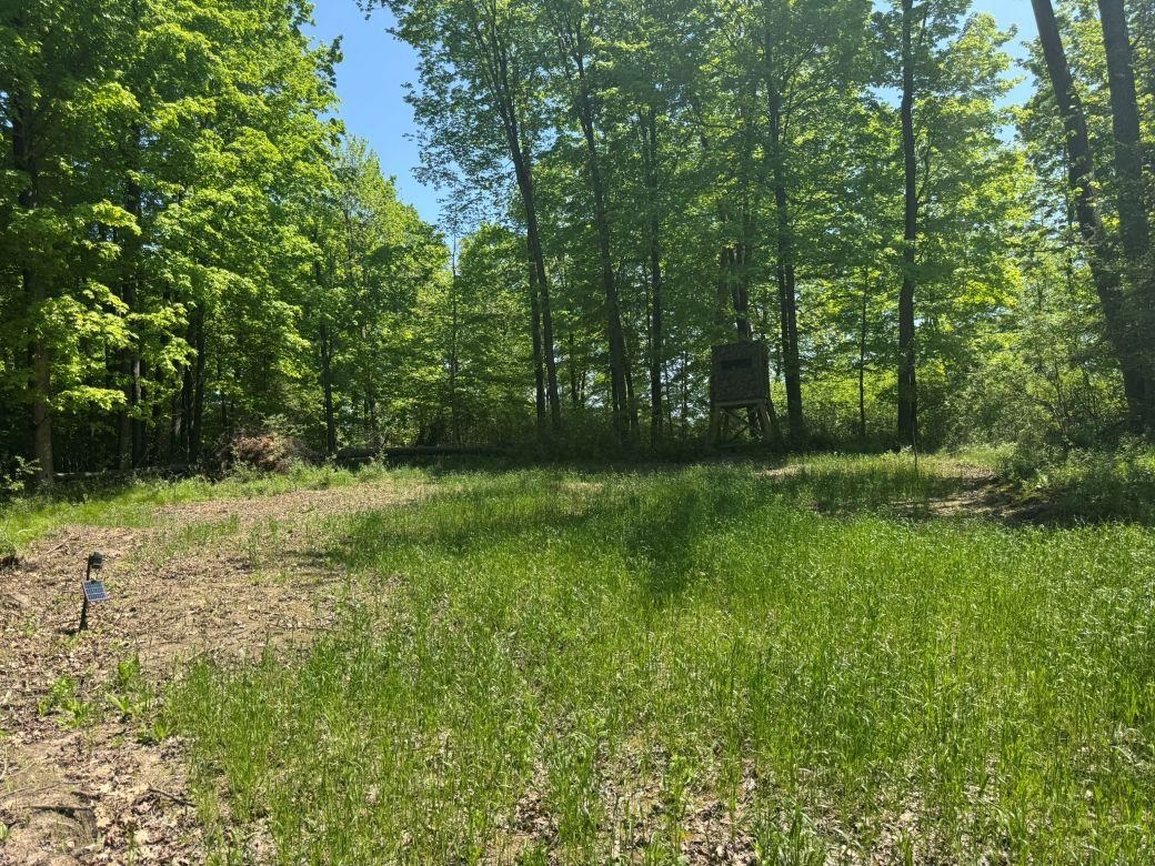 W17810 Eland Road Wittenberg, WI 54499 - Photo 33 of 89