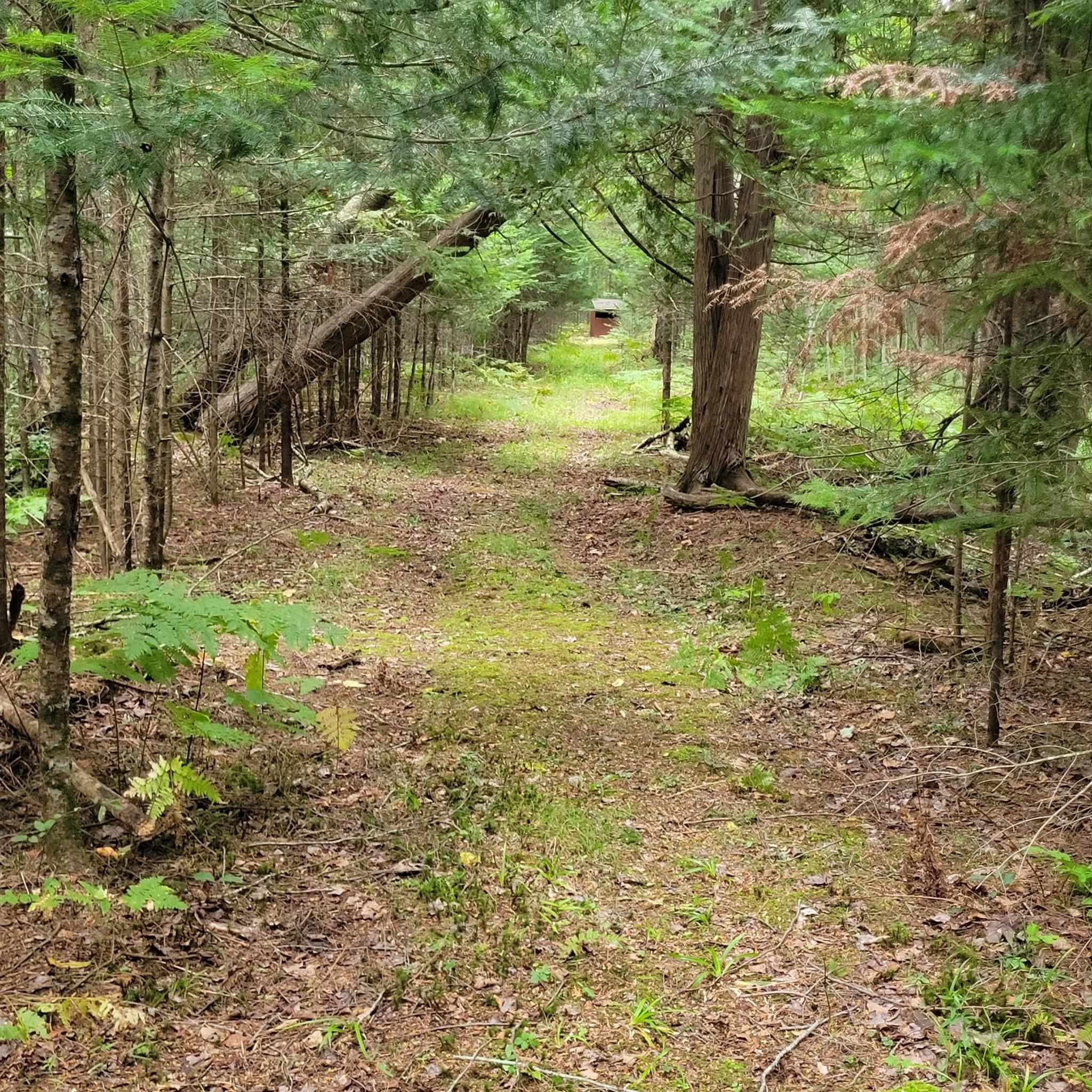 5295 Cedar Lake Road Gladwin, MI 48624 - Photo 34 of 48 1949396-f03ac123-68af-43d3-ae93-5692f928baca.JPG