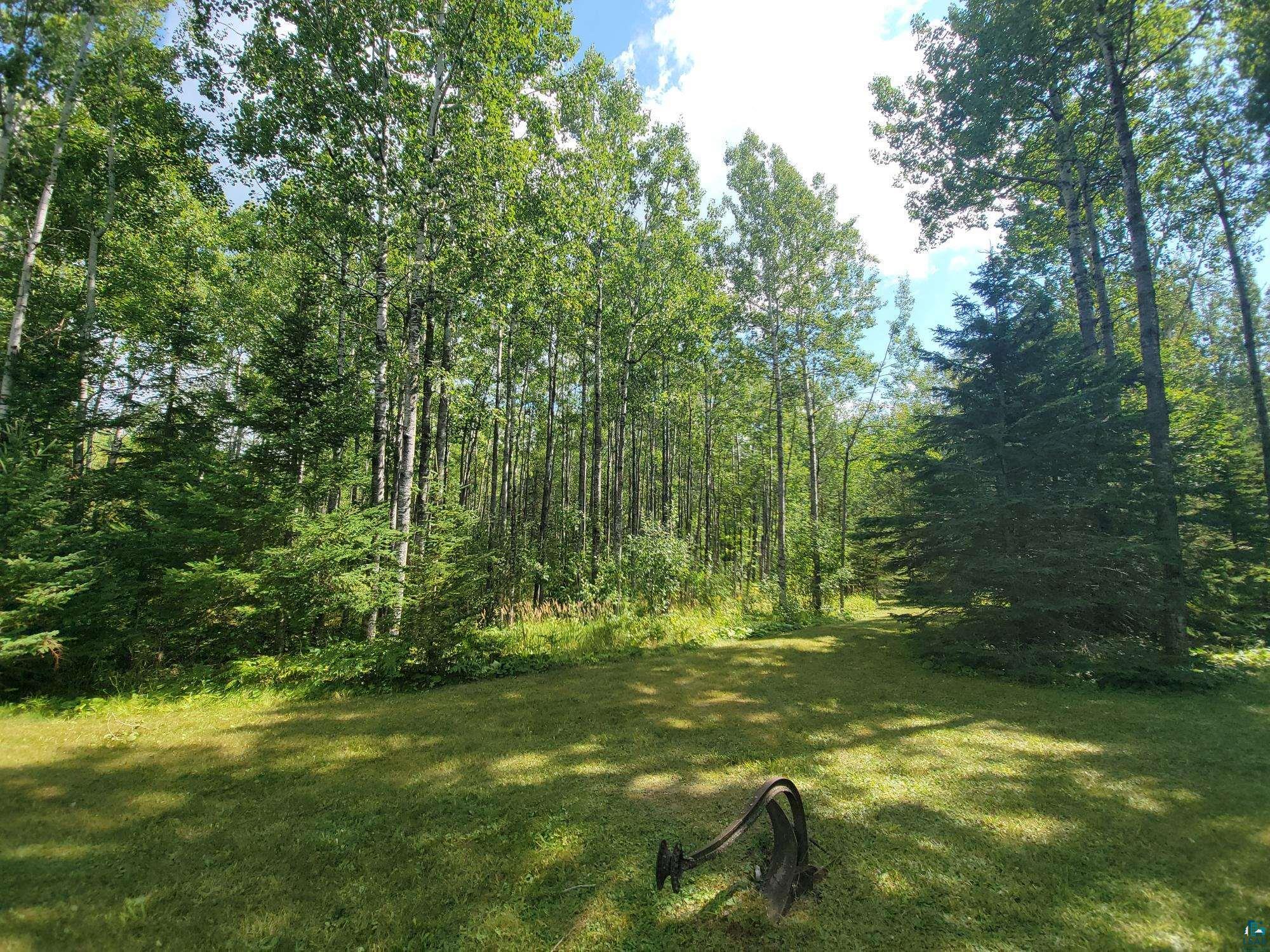 181 Linnell Road Grand Marais, MN 55604 - Photo 23 of 77 Expansive wooded lot featuring mature deciduous and coniferous trees