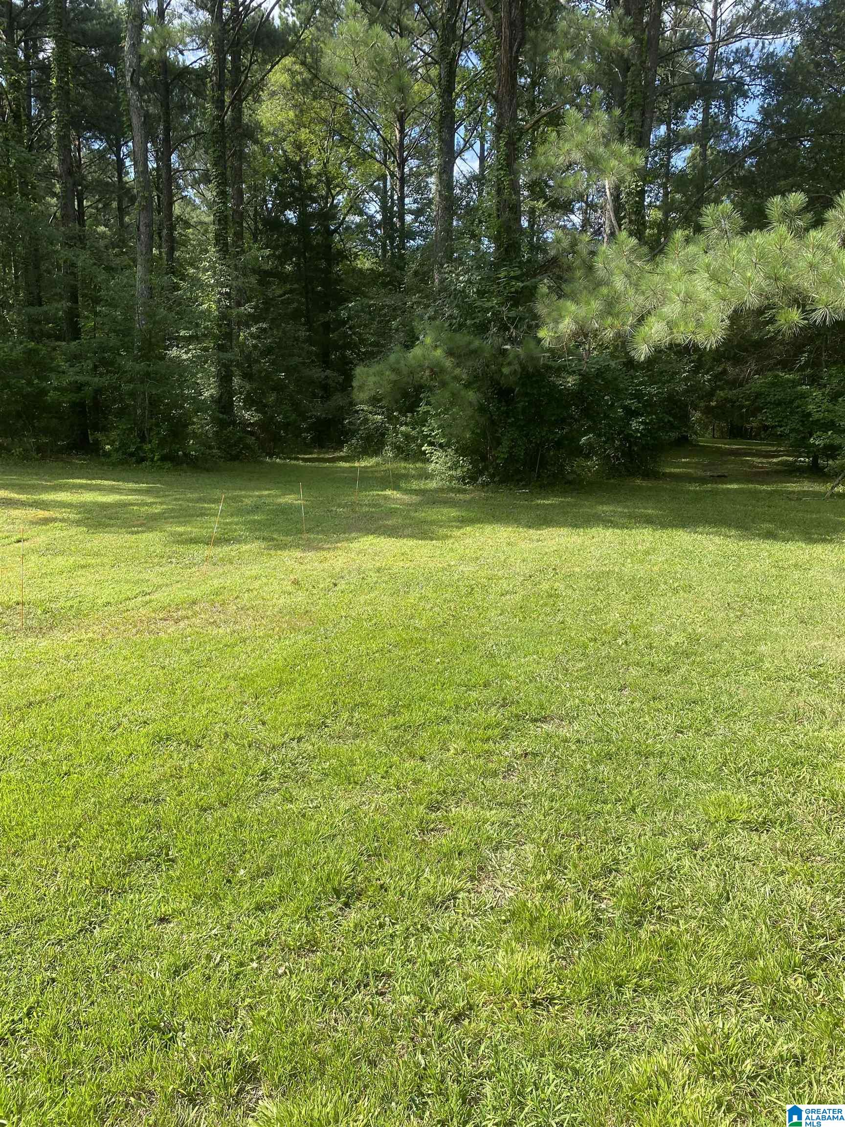 0 Evergreen Road, Unit 1 Springville, AL 35146 - Photo 2 of 14 Gallery Image 2