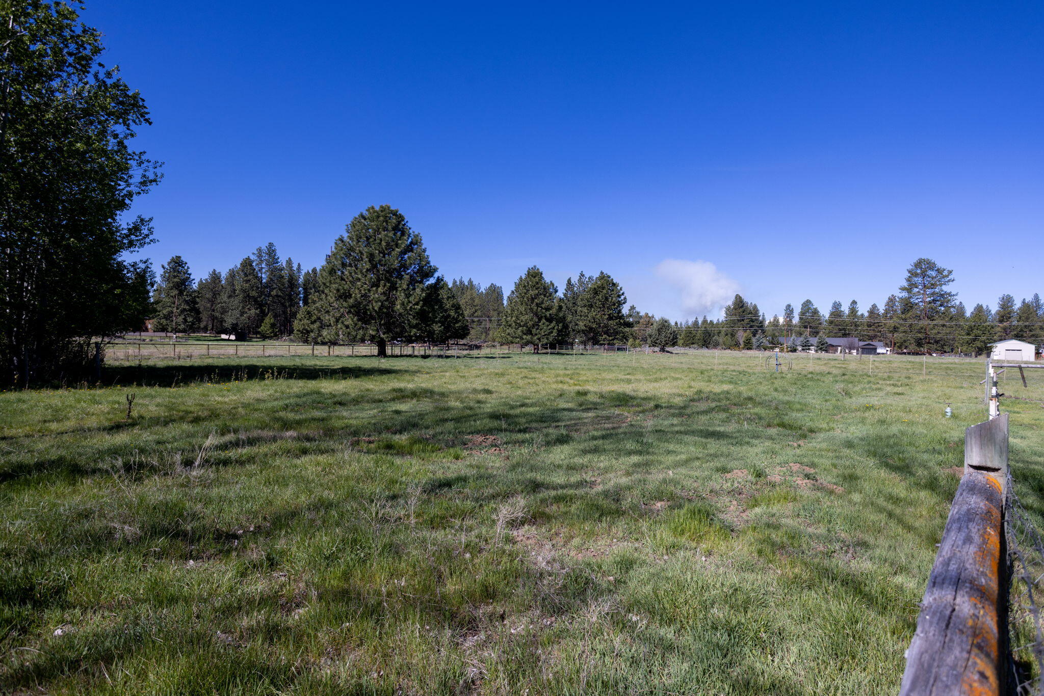 19450 Calico Road Bend, OR 97702 - Photo 33 of 41 a view of a field with trees in background
