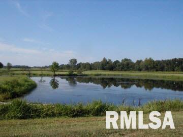 4841 Rockcastle Road Steeleville, IL 62288 - Photo 4 of 12