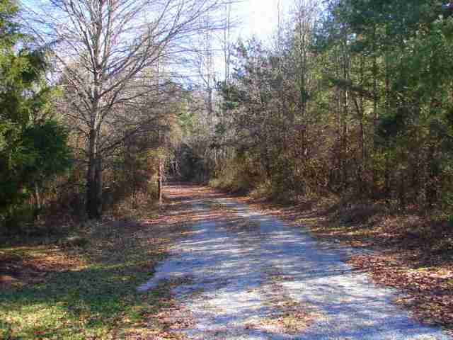 129 Merritt Road Liberty, SC 29657 - Photo 8 of 9