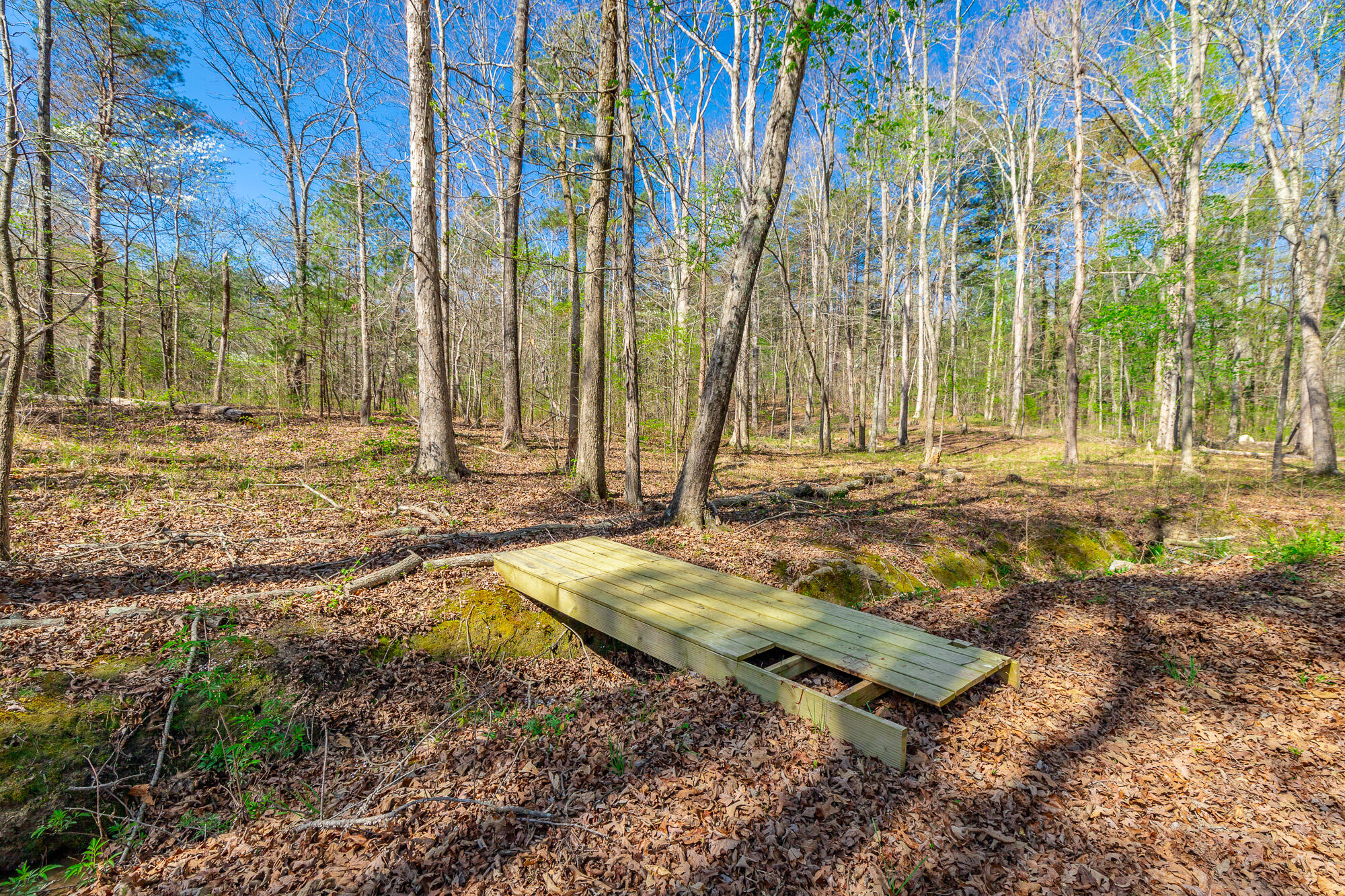 578 Capehart Road Ringgold, GA 30736 - Photo 47 of 62 578 Capehart Road HD-60