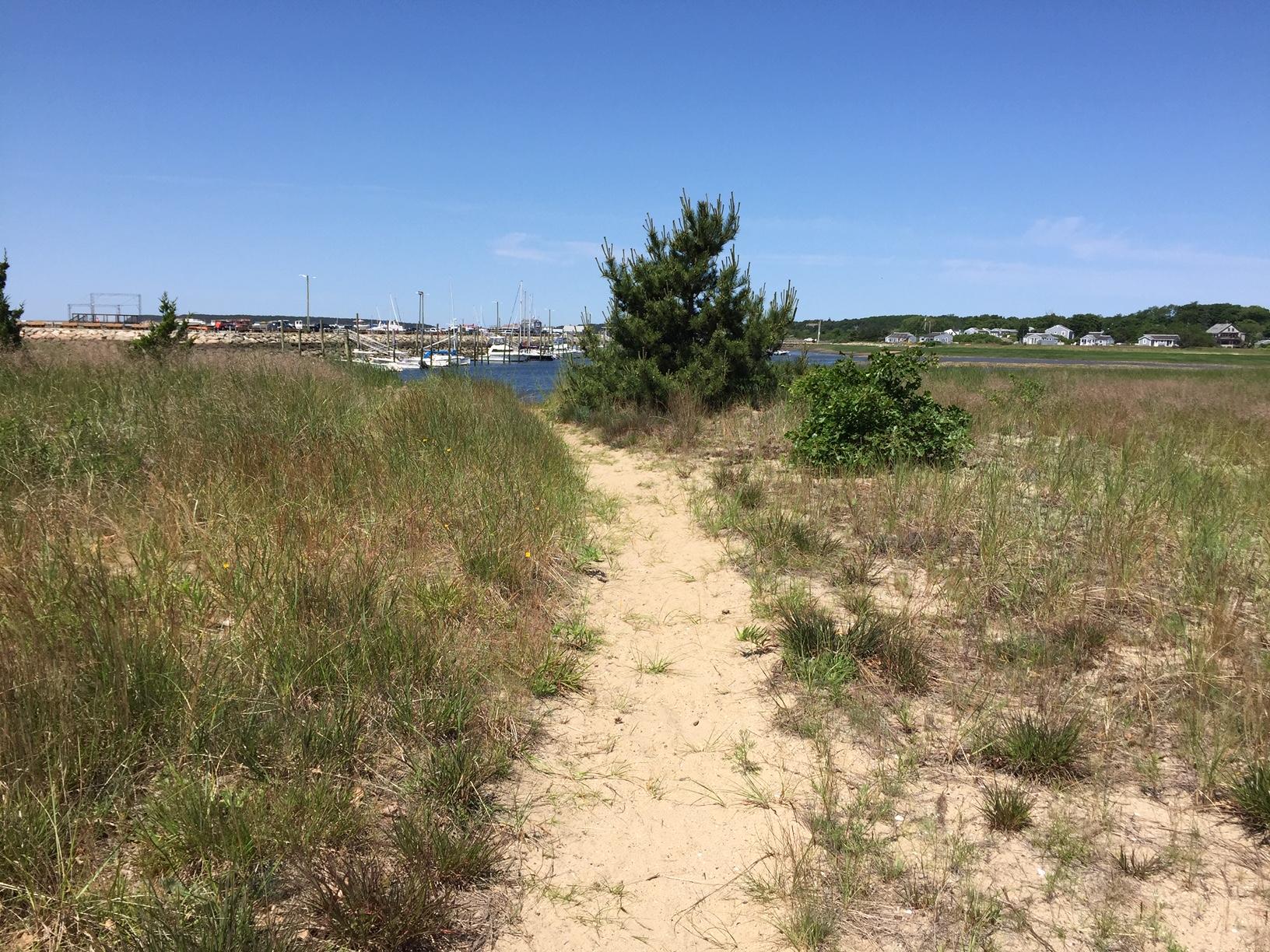 45 Marven Way Wellfleet, MA 02667 - Photo 23 of 37 IMG_1619