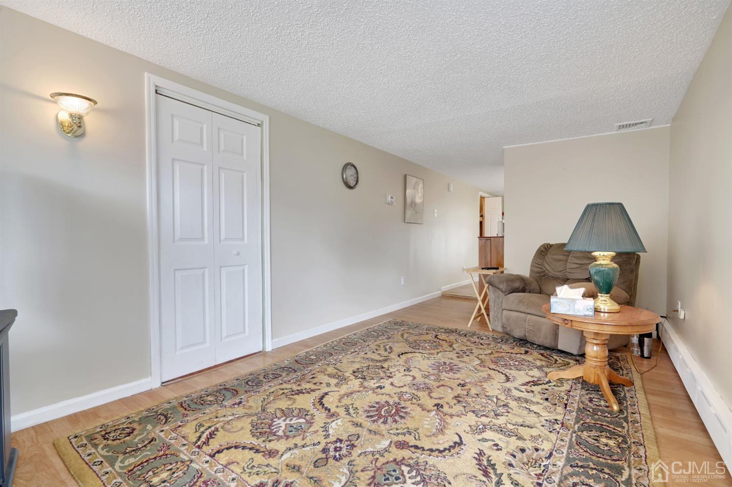 27 Raleigh Road Edison, NJ 08817 - Photo 11 of 29 a living room with a couch and a rug