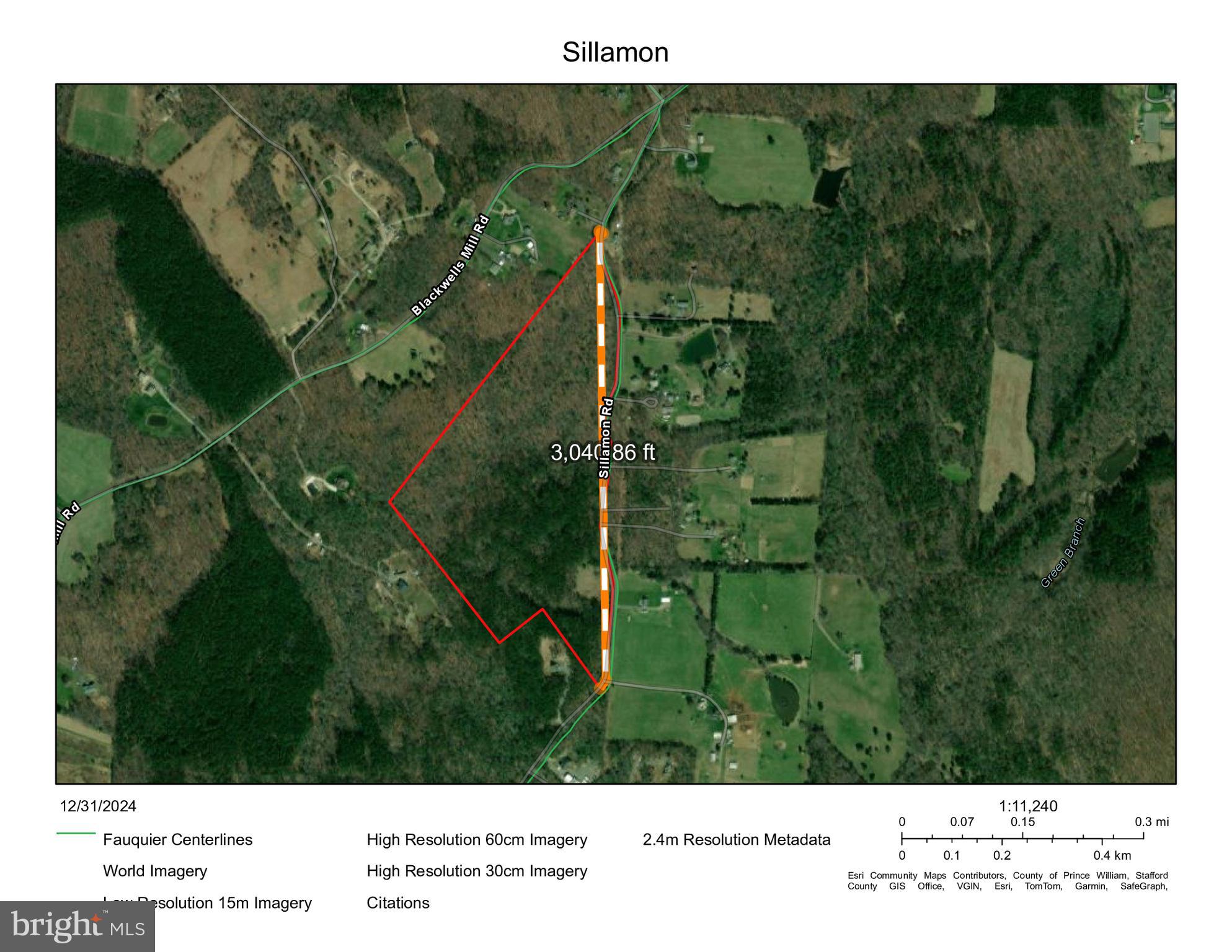 Sillamon Goldvein, VA 22720 - Photo 3 of 4