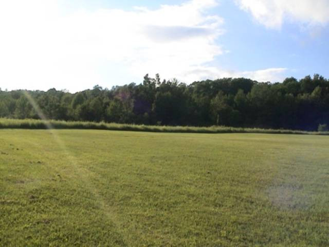 367 Lang Road Summit, NY 12175 - Photo 10 of 12 Photo 10