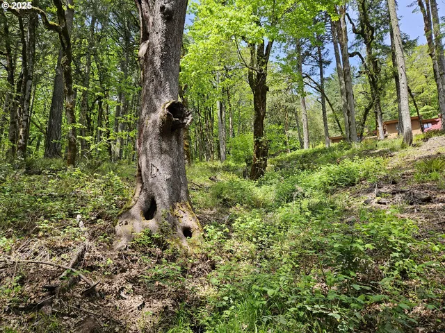 $699,000 | 1550 Northwest Emperor Drive, Corvallis, OR 97330