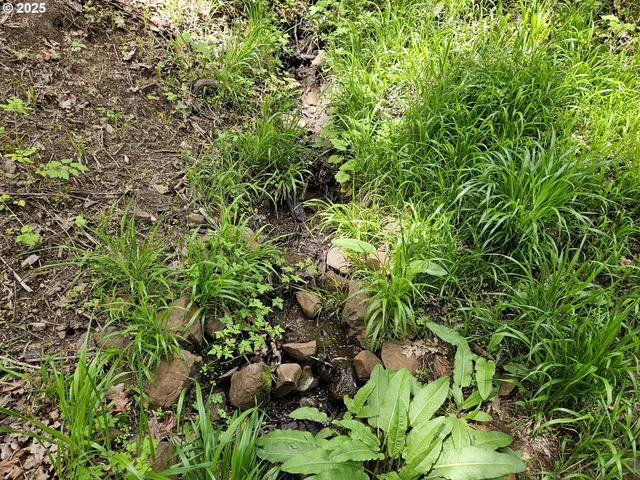 $699,000 | 1550 Northwest Emperor Drive, Corvallis, OR 97330