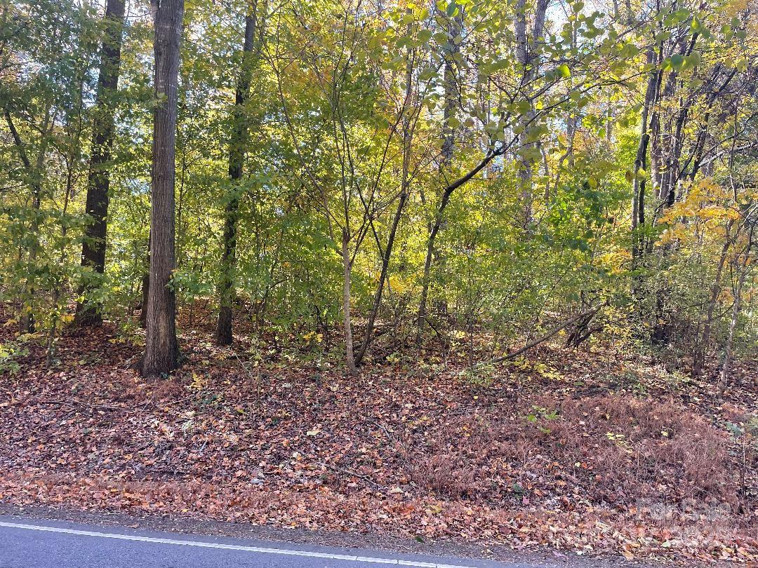 Lot 52-57 China Grove Road China Grove, NC 28023 - Photo 2 of 3 a view of a yard with large trees