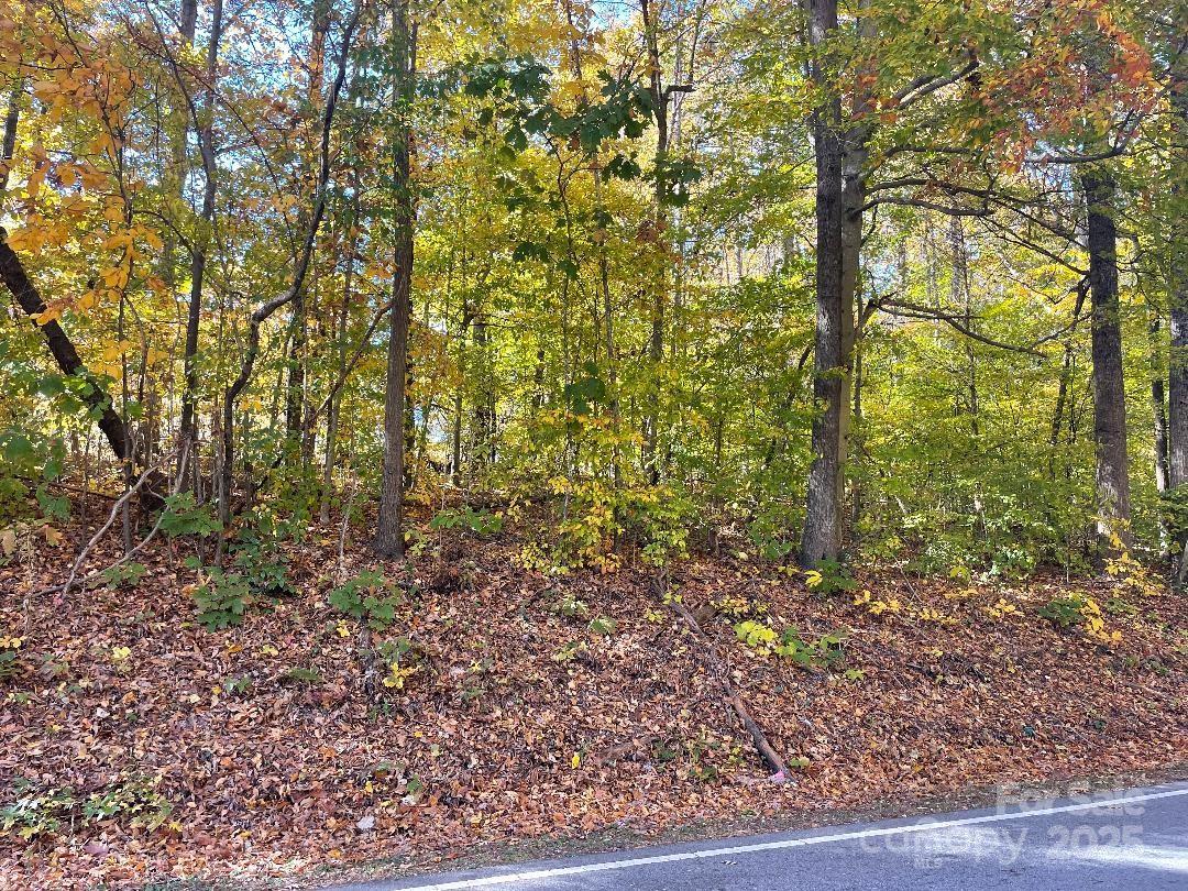 Lot 52-57 China Grove Road China Grove, NC 28023 - Photo 3 of 3 a view of a yard with large trees