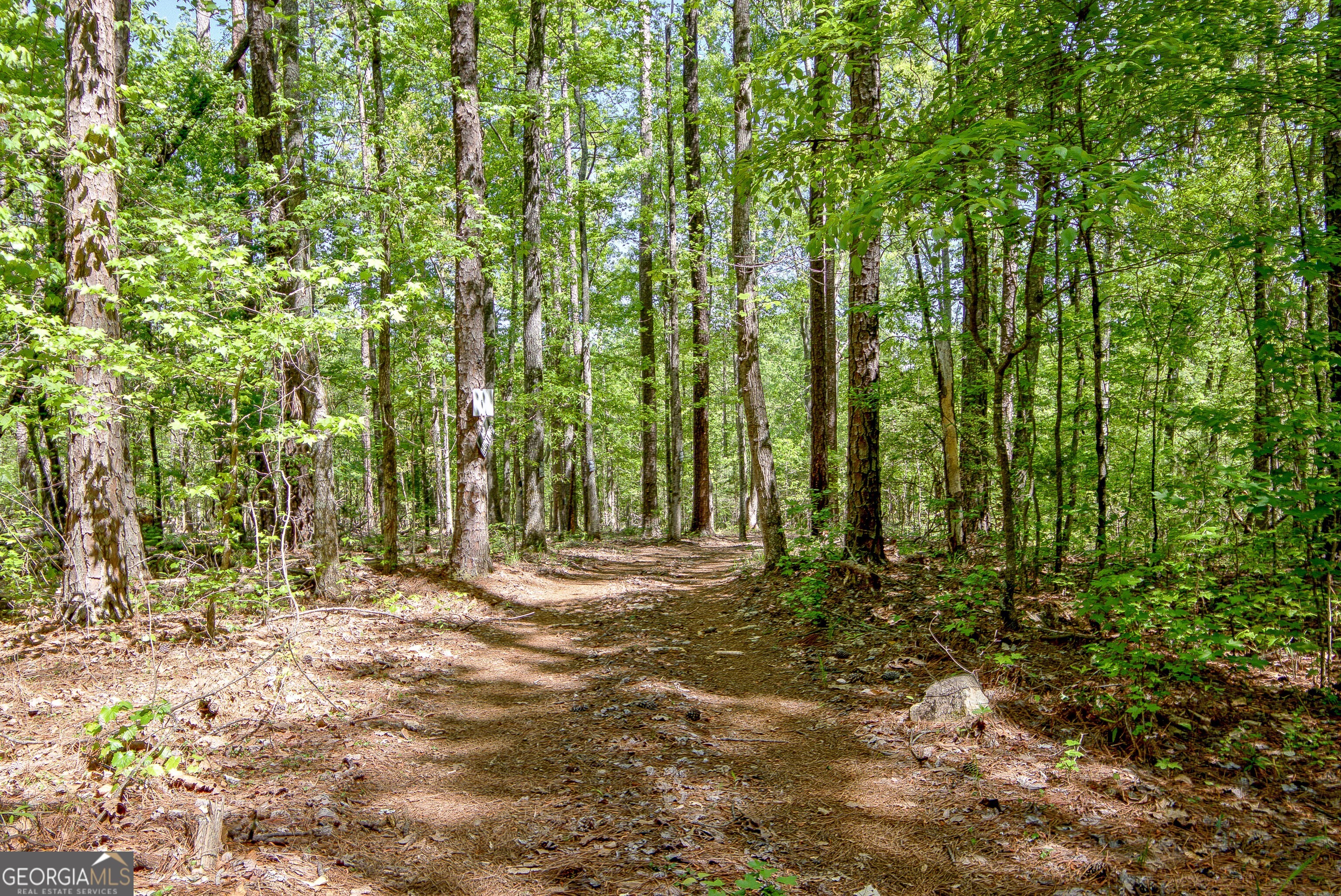 404 Tranquil Cemetary Road Senoia, GA 30276 - Photo 63 of 66