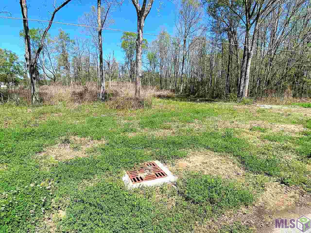 45464 Travis Rd Street St. Amant, LA 70774 - Photo 2 of 4 Gallery Image 2