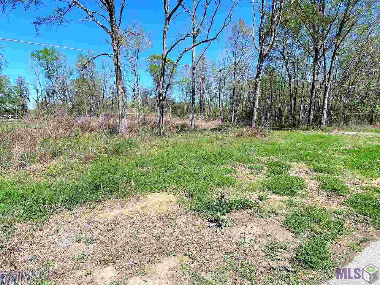 45464 Travis Rd Street St. Amant, LA 70774 - Photo 3 of 4 Gallery Image 3