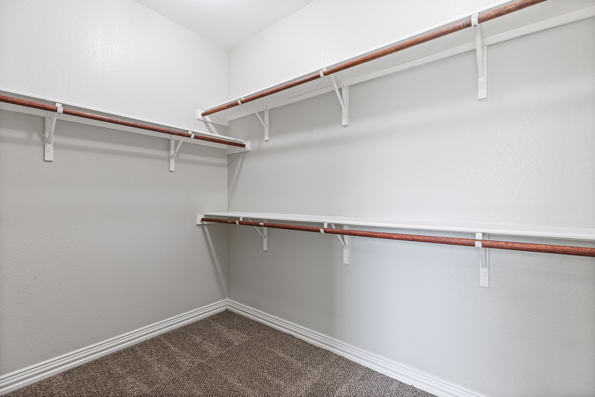 237 Cardinal Drive Paige, TX 78659 - Photo 17 of 37 Walk in closet with dark colored carpet