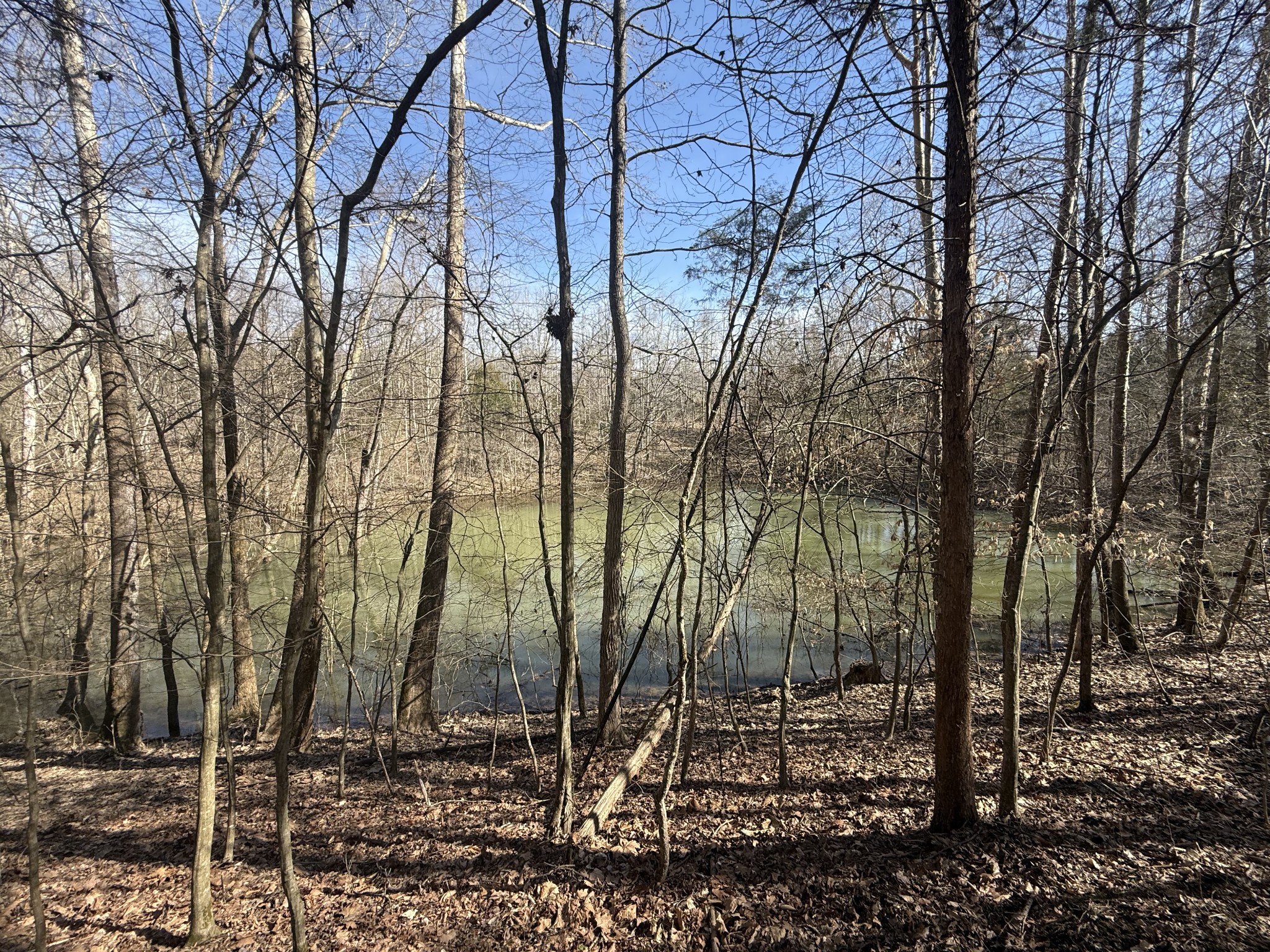 0 Epps Road Southside, TN 37171 - Photo 12 of 20 a view of a backyard