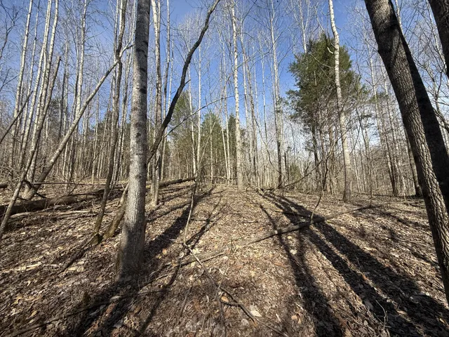 a view of a road with a house in the background