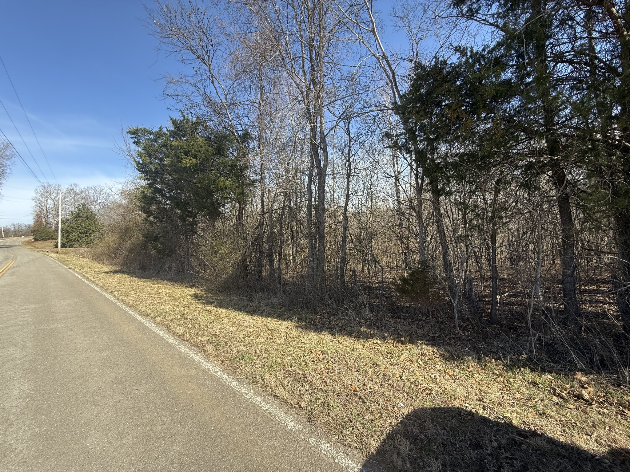 0 Epps Road Southside, TN 37171 - Photo 18 of 20 a view of a yard with trees