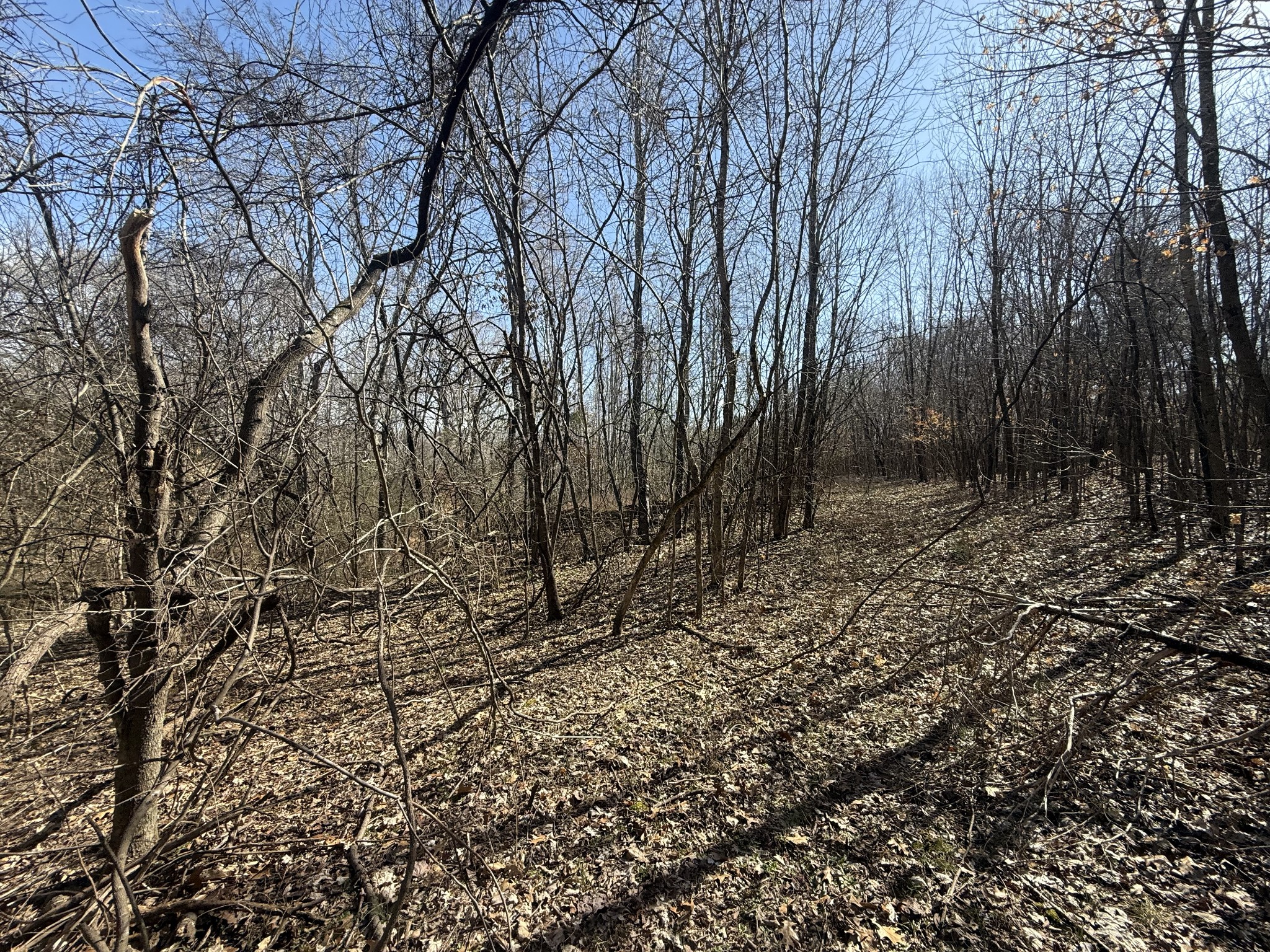 0 Epps Road Southside, TN 37171 - Photo 3 of 20