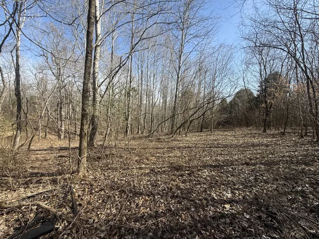 a view of house with a street