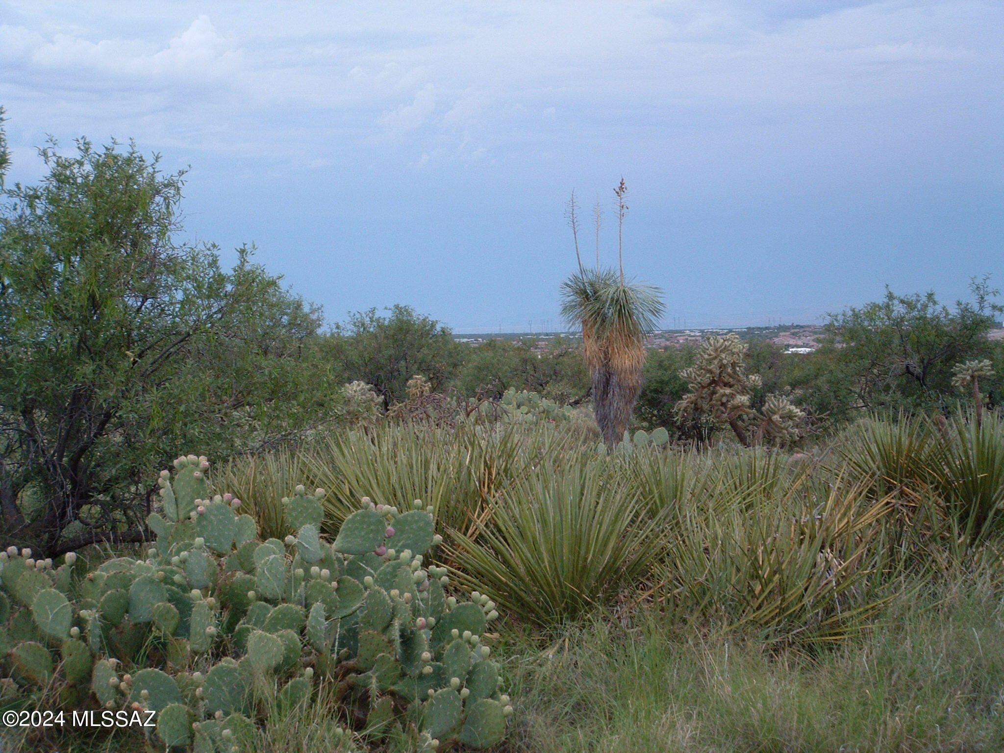 47-lots East Colossal Cave Road, Unit 43 Vail, AZ 85641 - Photo 4 of 5 a view of a garden