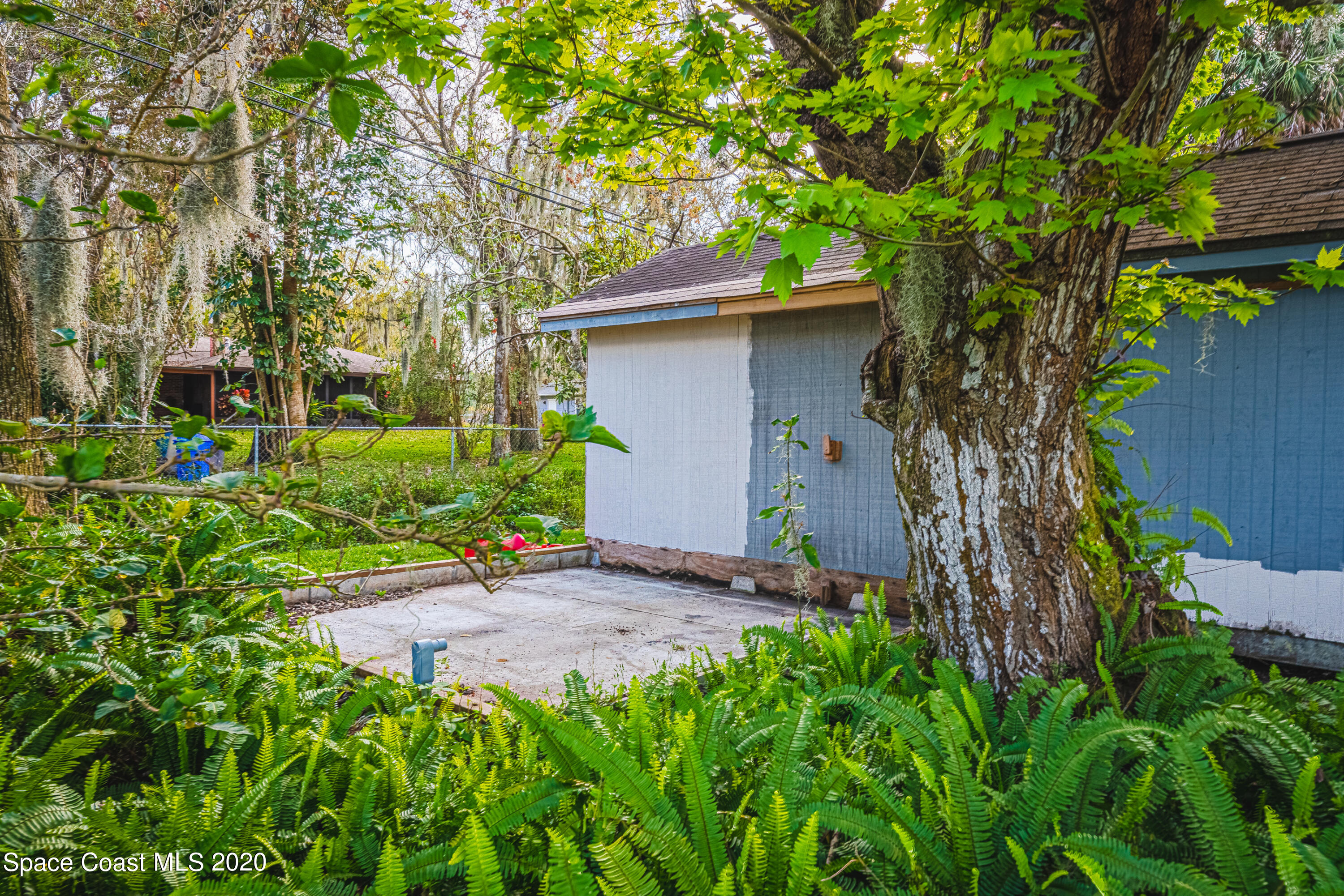 1945 Trimble Road Melbourne, FL 32934 - Photo 52 of 83 a view of a yard with plants and a large tree