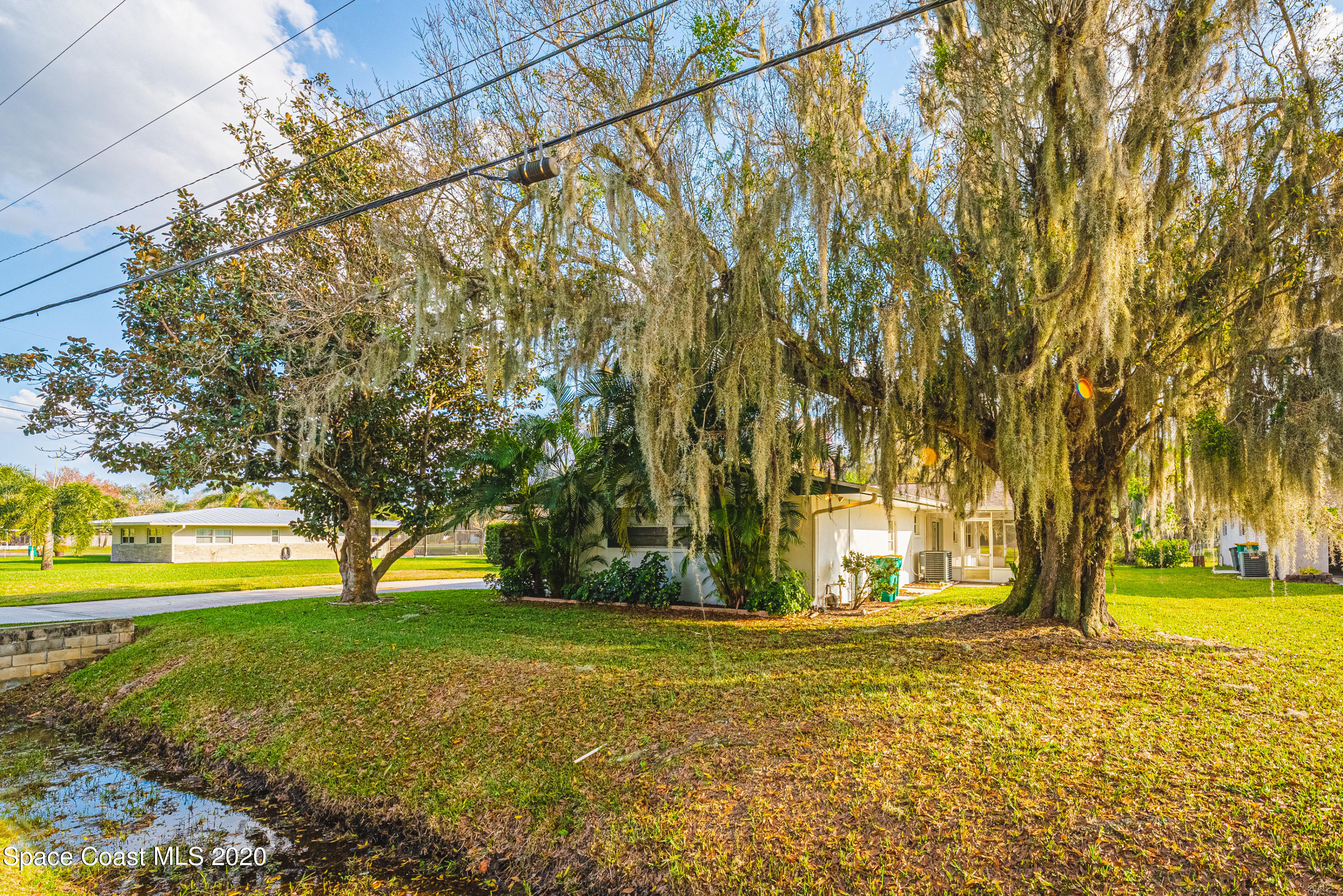 1945 Trimble Road Melbourne, FL 32934 - Photo 67 of 83 a view of yard with tree