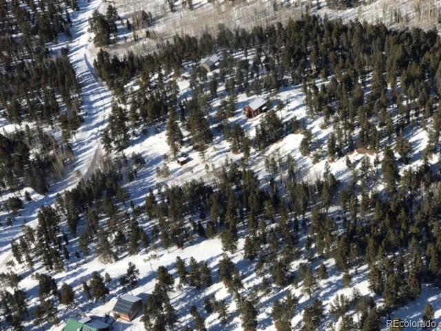 947 Bellows Road Hartsel, CO 80449 - Photo 4 of 34 a view of tree