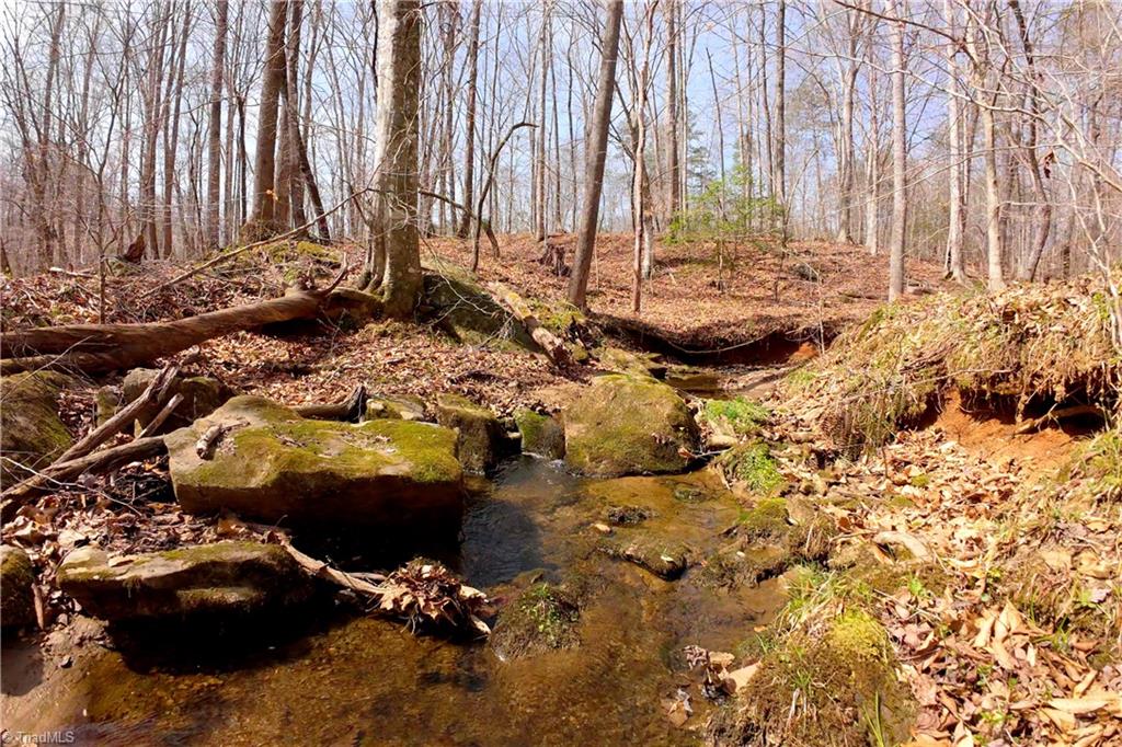 1019 George Road Westfield, NC 27053 - Photo 21 of 28