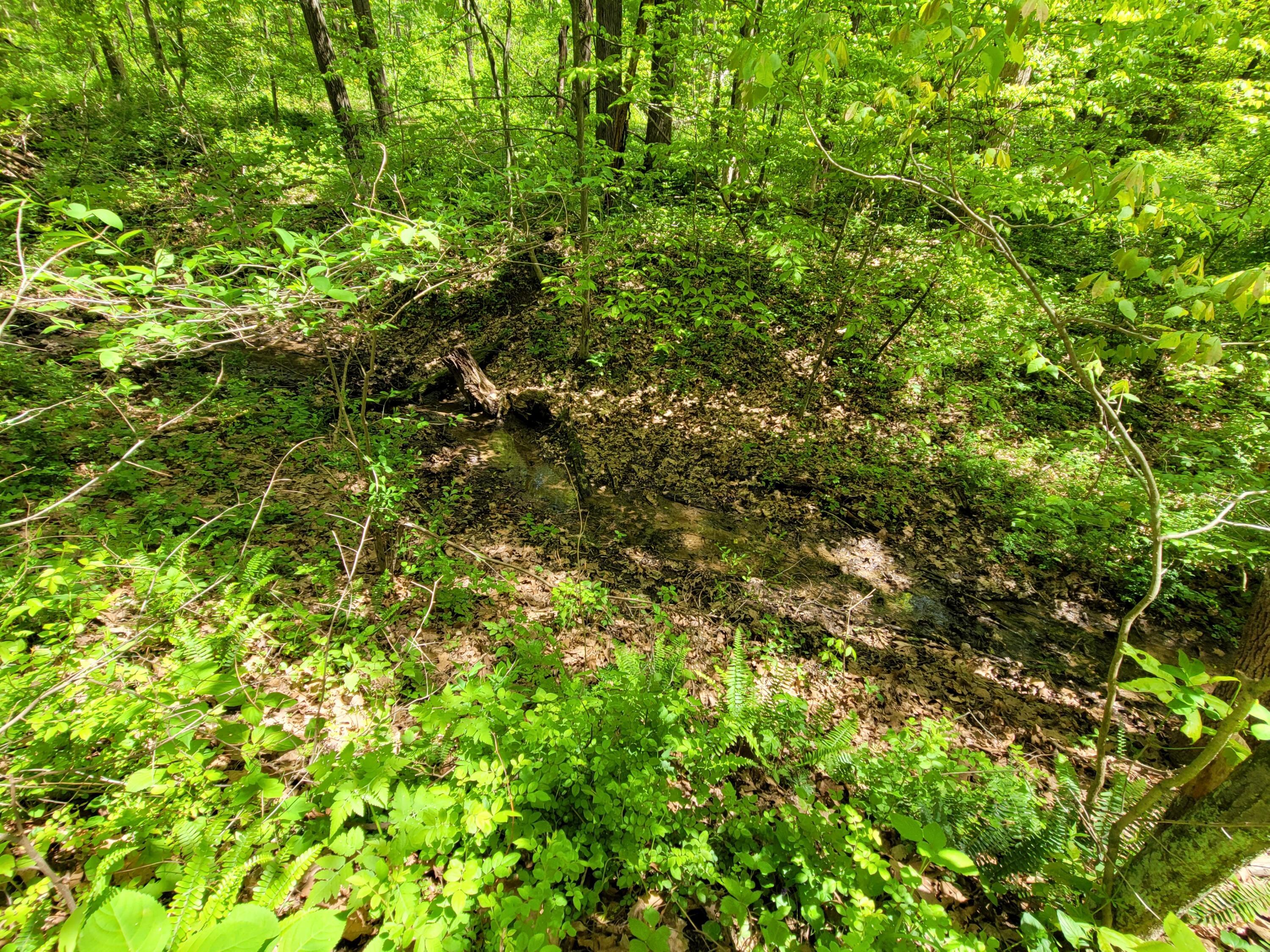 13659 Pear Orchard Road Dresden, OH 43821 - Photo 25 of 56 Gallery Image 25