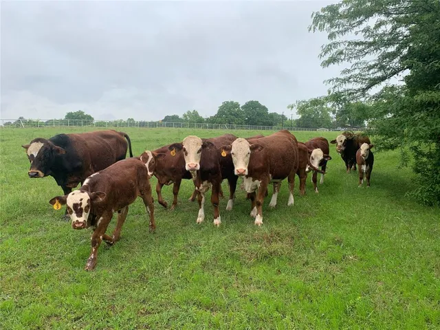 a group of people sitting in a grassy field