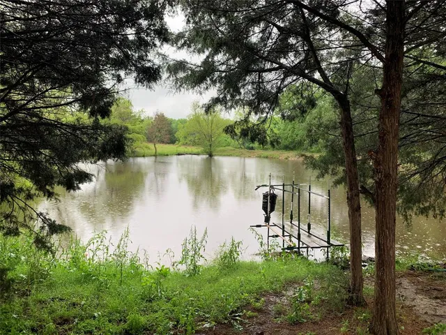a body of water with a tree in the background