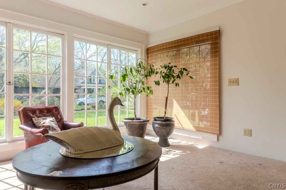 10 Brattle Road Syracuse, NY 13203 - Photo 31 of 34