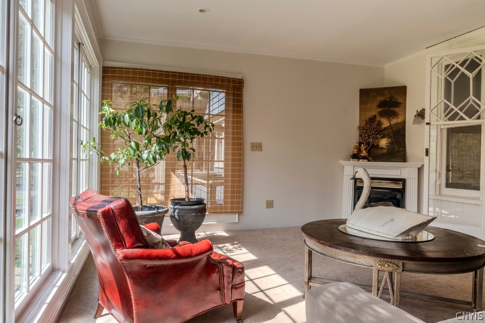 10 Brattle Road Syracuse, NY 13203 - Photo 33 of 34