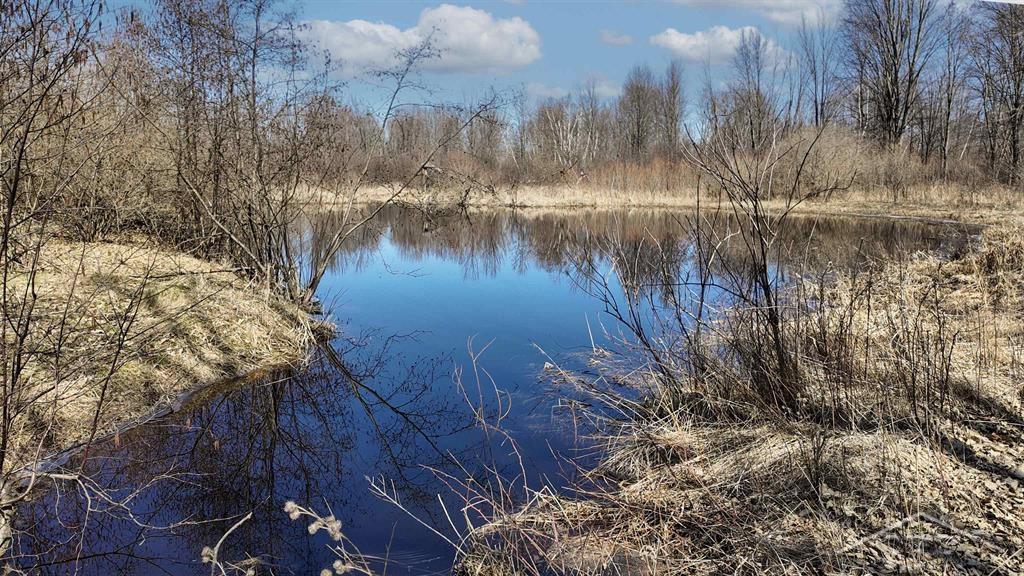 2324 Lyle Road Beaverton, MI 48612 - Photo 38 of 56 Gallery Image 38