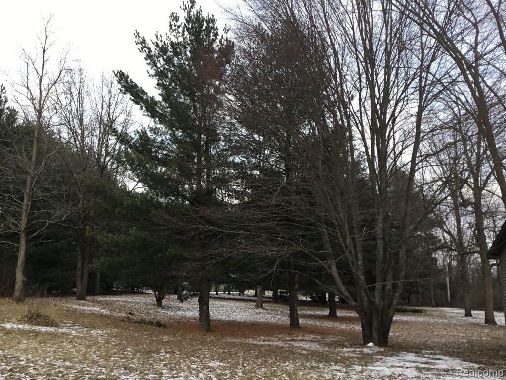 8148 Irish Road Millington, MI 48746 - Photo 59 of 73 IMG_3014.JPG